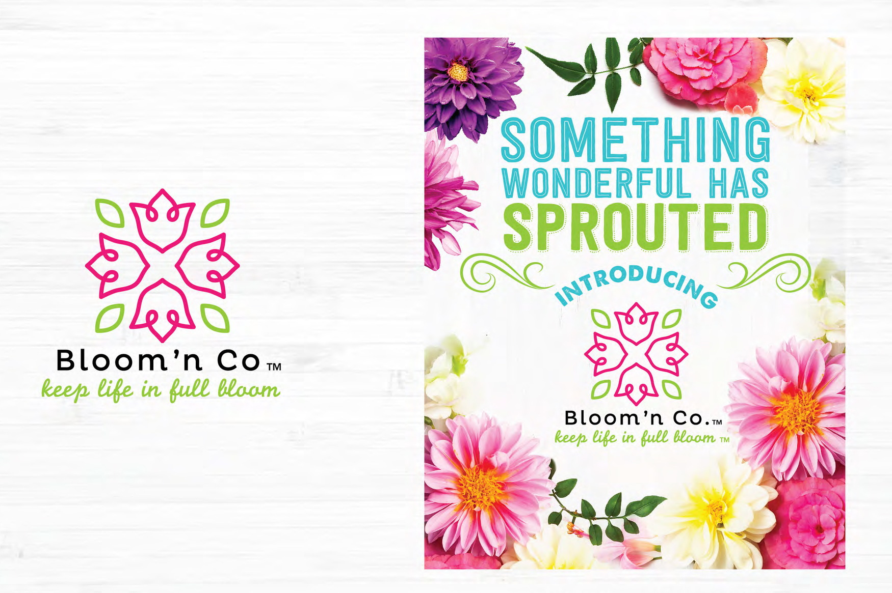Bloom&rsquo;n Co &mdash; A floral brand built from nothing: mark, wordmark, tagline, and the launch piece that introduced it.